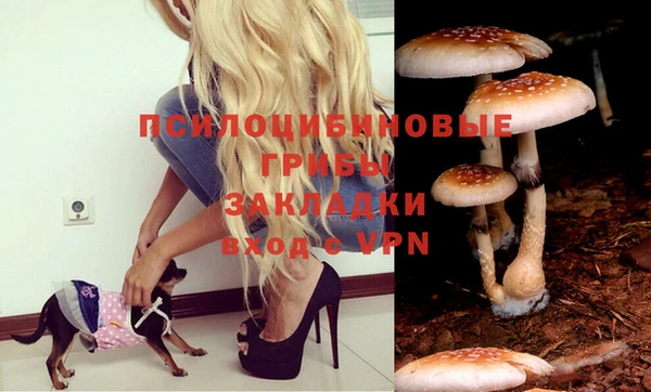 прущая мука Абдулино