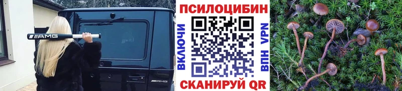 Псилоцибиновые грибы прущие грибы  Абдулино 